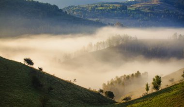 Apuseni dağlar, Romanya - sisli sonbahar sabahı