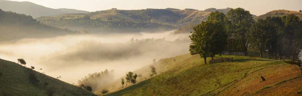 Apuseni Berge, Rumänien - nebliger Herbstmorgen — Stockfoto