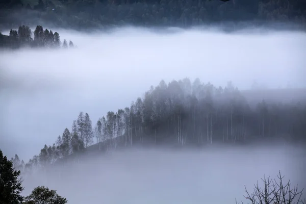 Apusenigebergte, Roemenië - mistige herfst ochtend — Stockfoto