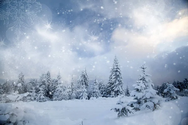 Χειμερινό τοπίο με τα χιονισμένα έλατα — Φωτογραφία Αρχείου