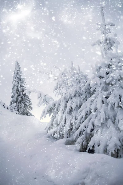 Fantastico paesaggio invernale — Foto Stock