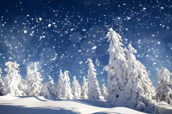 Fantastisch winterlandschap — Stockfoto