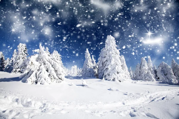 Fantastisch winterlandschap — Stockfoto