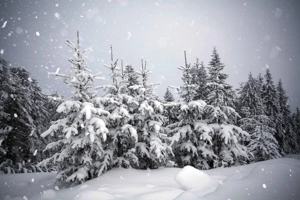 Fantástico paisaje de invierno —  Fotos de Stock