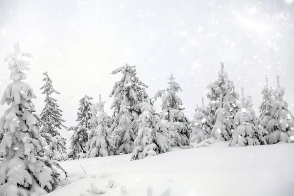 Fantastisch winterlandschap — Stockfoto