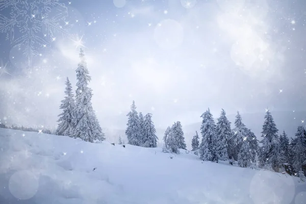 Fantastyczny zimowy krajobraz — Zdjęcie stockowe