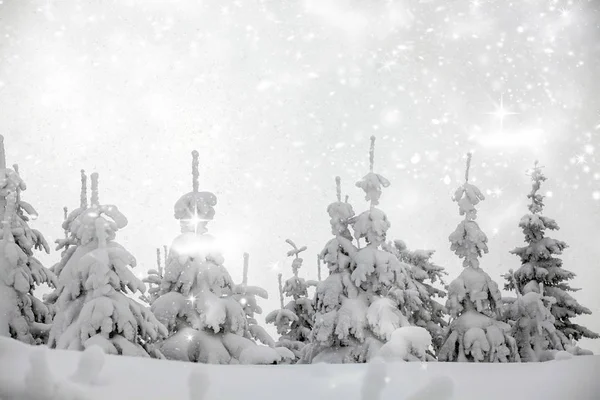 Fantástico paisaje de invierno — Foto de Stock