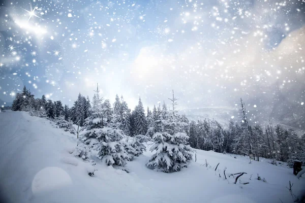 Fantástico paisaje de invierno —  Fotos de Stock