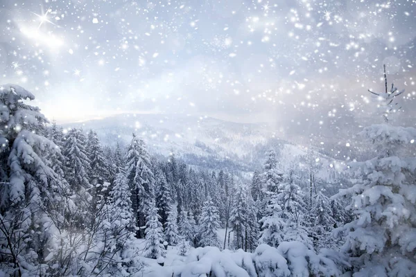 Traumhafte Winterlandschaft — Stockfoto