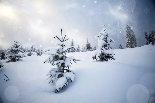 विलक्षण हिवाळी लँडस्केप — स्टॉक फोटो, इमेज
