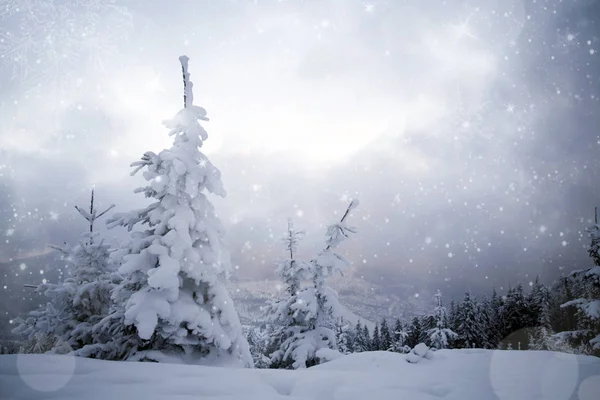 Fantastisk vinter landskab - Stock-foto