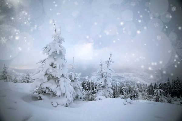 Fantastická zimní krajina — Stock fotografie