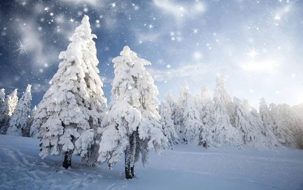 Fantastisch winterlandschap — Stockfoto