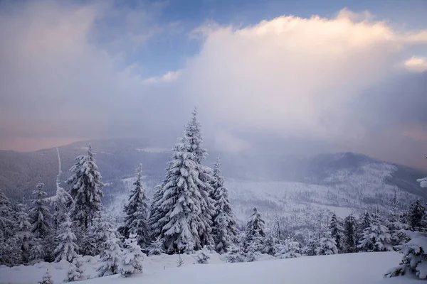 Krajobraz zimy ze śniegiem pokryte lasem — Zdjęcie stockowe