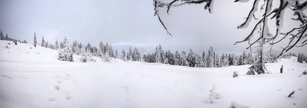 Hill kış panorama kar ile kaplı — Stok fotoğraf