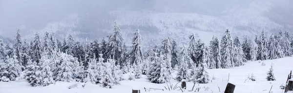 Winterpanorama mit schneebedecktem Hügel — Stockfoto