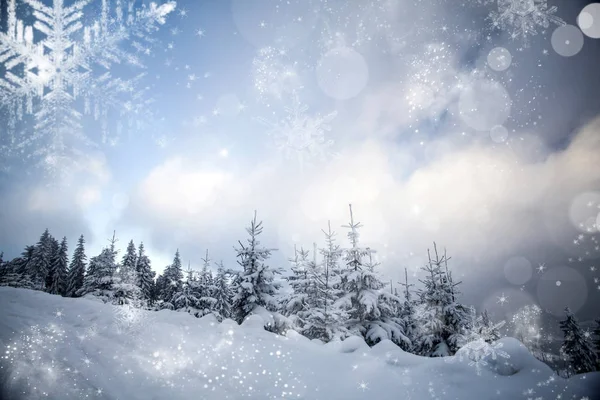 Paisagem de inverno com abetos nevados — Fotografia de Stock