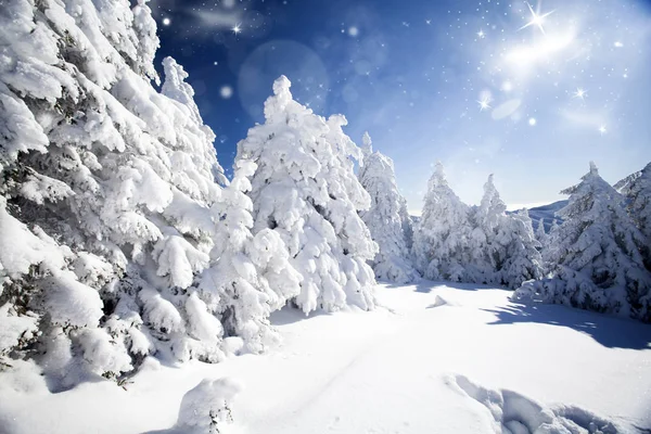 Winterlandschaft mit schneebedeckten Tannen — Stockfoto