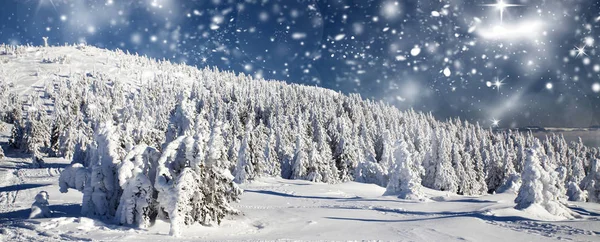 हिवाळी लँडस्केप हिवाळी फायर झाडे — स्टॉक फोटो, इमेज