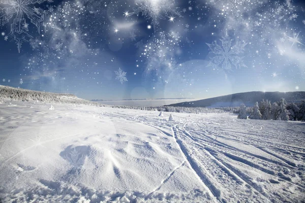 Kerst achtergrond met besneeuwde dennenbomen — Stockfoto