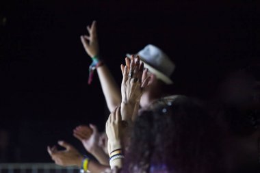 kalabalık bir konserde