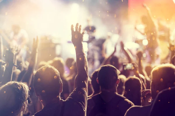 Cheering crowd at a concert — Stock Photo, Image