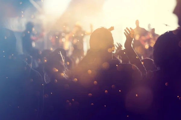 Jublande folkmassa på en konsert — Stockfoto