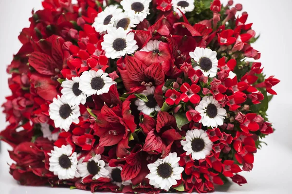 Červené a bílé květy — Stock fotografie