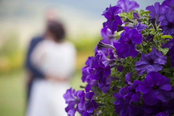 Bröllop bakgrund med lila blommor — Stockfoto