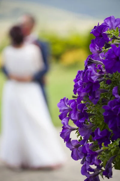 Fond de mariage avec des fleurs violettes — Photo