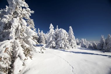 Karlı kış manzara ayak sesleri ile
