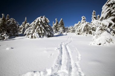 Karlı kış manzara ayak sesleri ile