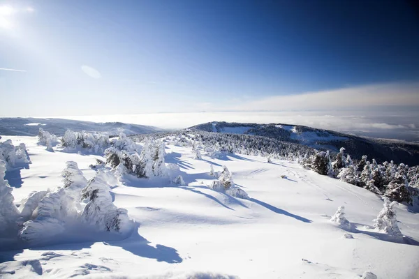 Snow covered winter landscape Stock Photo