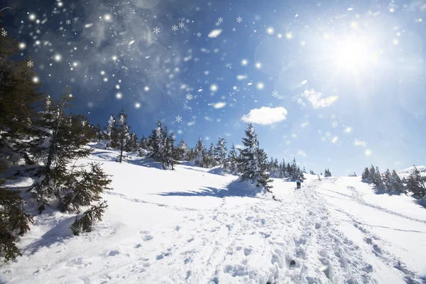 Dağlarda kar yağışı — Stok fotoğraf