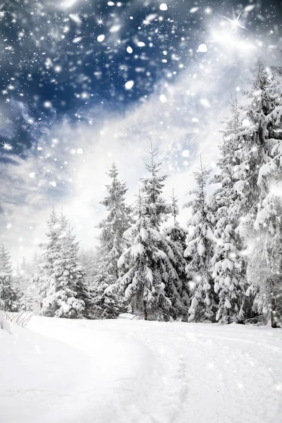 Snowfall in the mountains — Stock Photo, Image