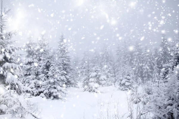 Weihnachten Hintergrund mit schneebedeckten Tannen — Stockfoto