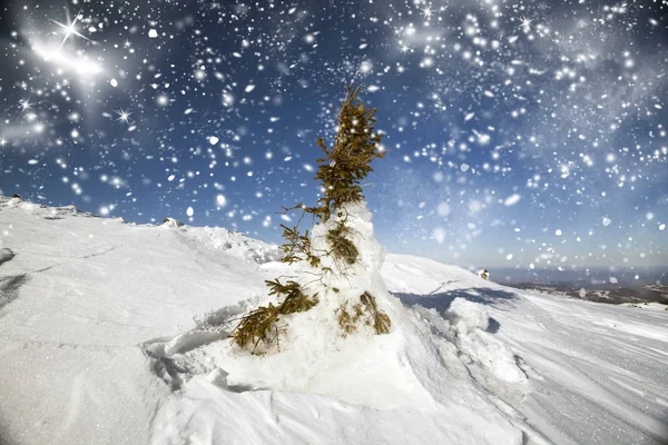 Snöiga hilside i bergen — Stockfoto