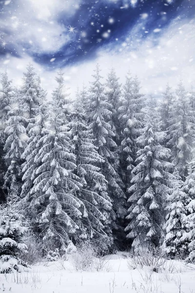 Śnieg pokryte lasem — Zdjęcie stockowe