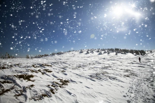 Dağlarda karlı hilside — Stok fotoğraf