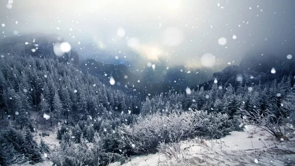 Árboles cubiertos de heladas y nieve en las montañas de invierno - Chri — Foto de Stock