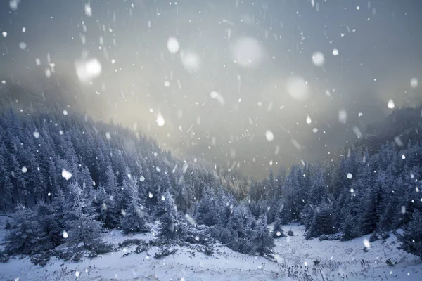 Bäume bedeckt mit Raureif und Schnee im Winter Berge - chri — Stockfoto