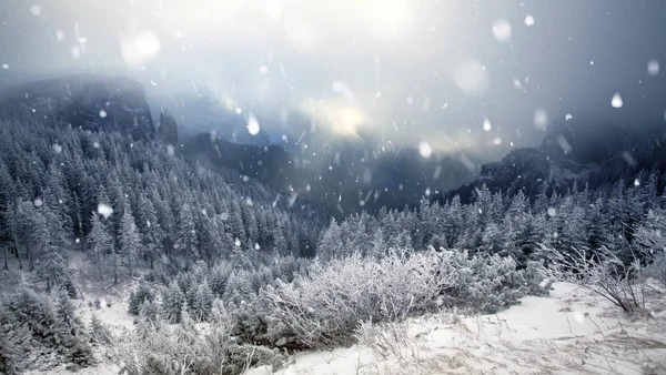 Fák, fedett Dér és a hó a téli hegyek - karácsony — Stock Fotó