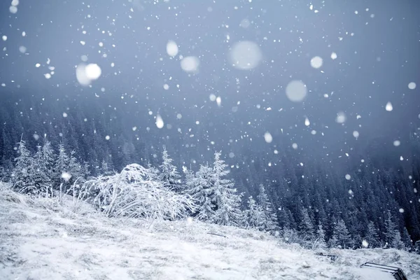 Árboles cubiertos de heladas y nieve en las montañas de invierno - Chri —  Fotos de Stock