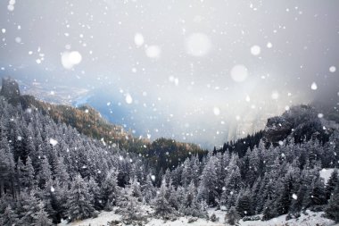 Hoarfrost ve kış dağlar - bedeni kar kaplı ağaçlar