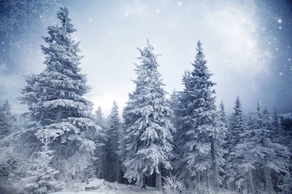 Árboles cubiertos de heladas y nieve en las montañas de invierno - Chri — Foto de Stock