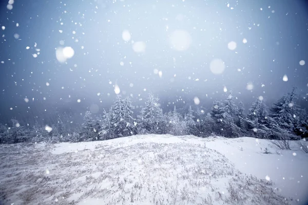 Träd täckta med rimfrost och snö i vinter bergen - Chri — Stockfoto