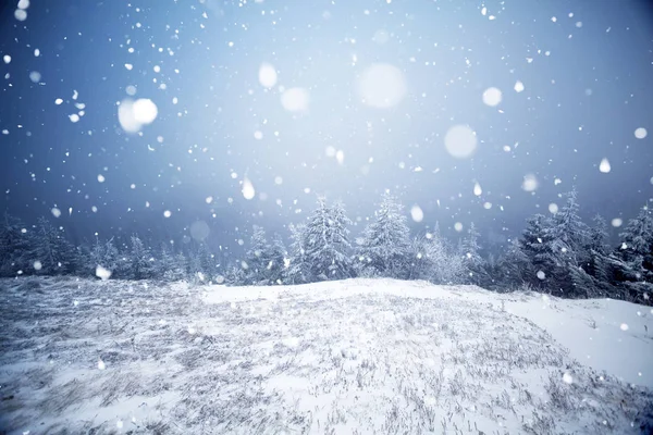 Alberi ricoperti di gelo e neve nelle montagne invernali - Chri — Foto Stock