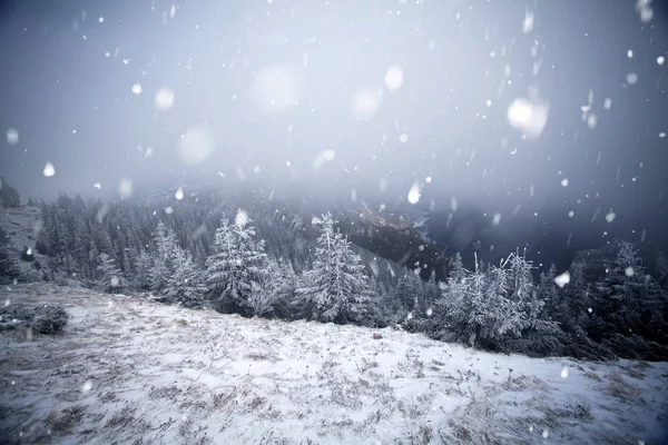 Árboles cubiertos de heladas y nieve en las montañas de invierno - Chri —  Fotos de Stock