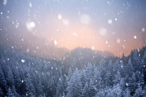 Árboles cubiertos de heladas y nieve en las montañas de invierno - Chri —  Fotos de Stock