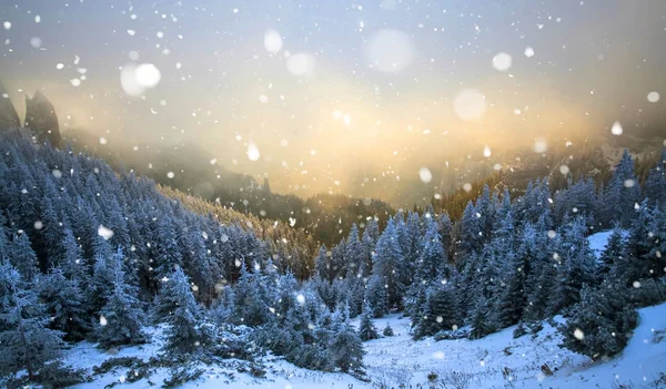 Árboles cubiertos de heladas y nieve en las montañas de invierno - Chri — Foto de Stock